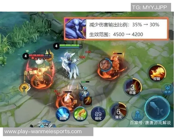 深入探讨王者荣耀WE战队的团队协作与默契提升之道