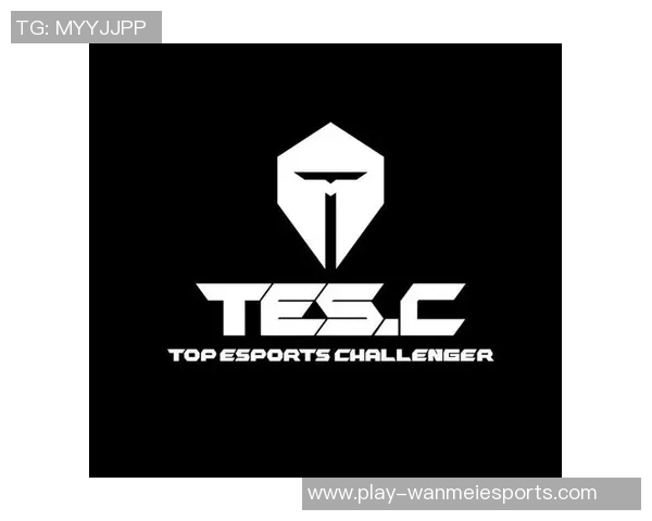 esports数据电竞比分英雄联盟专题深入分析TES战队的比赛经验与战术策略